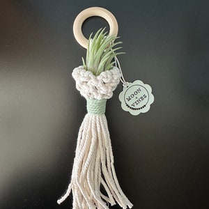 Mini Macrame Air Plant Holder