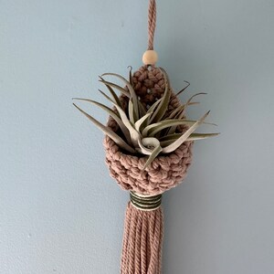 Teardrop Air Plant Hanger