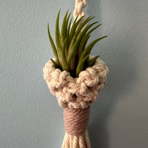 May include: A macrame plant hanger with a cream-colored cord and a light brown tassel. A green air plant is nestled in the macrame holder.