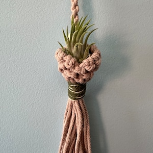 May include: A macrame plant hanger with a light brown cord and a green accent. A small air plant is in the hanger.