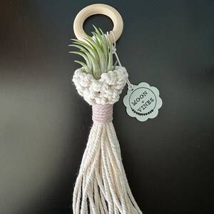 May include: A small air plant in a macrame planter with a wooden ring and a tassel. The planter is labeled "Moon + Vines".