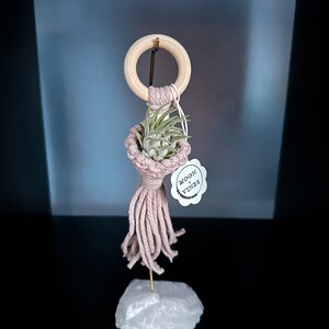 May include: A pink macrame plant hanger with a wooden ring at the top and a small air plant in the center. The hanger is displayed on a white rock base with a tag that reads "Moon + Vines".