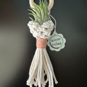 Mini Macrame Air Plant Holder