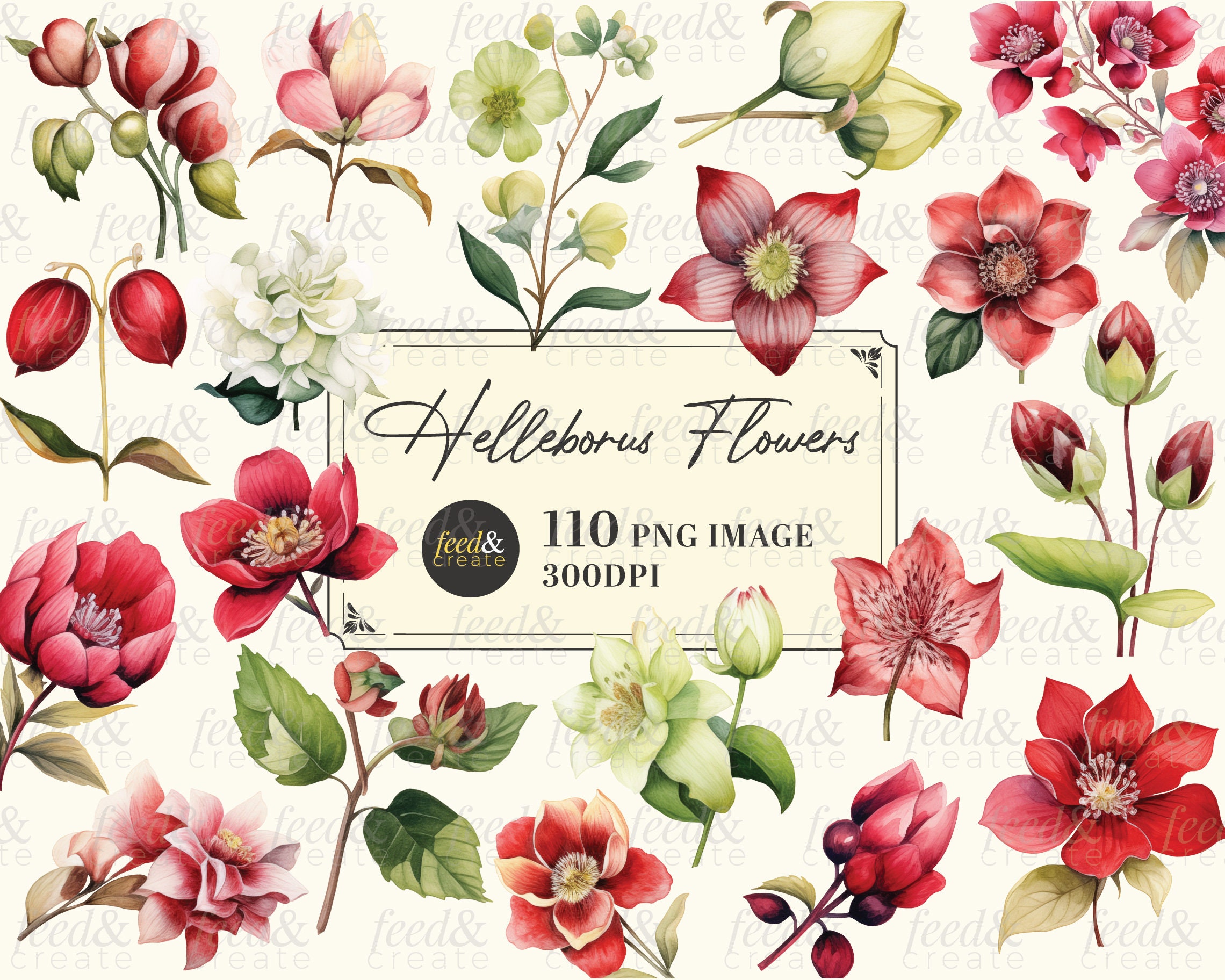 The Ready For Joy Empty Watercolor Palette - Hellebores - Unique Shopping  for Artistic Gifts