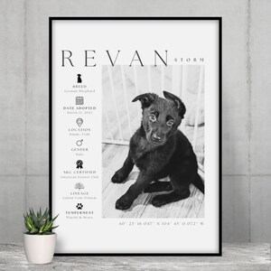 May include: Black and white framed print featuring a German Shepherd puppy named Revan Storm. The print includes the puppy's breed, adoption date, location, gender, AKC certification, lineage, and temperament. Coordinates are also listed.
