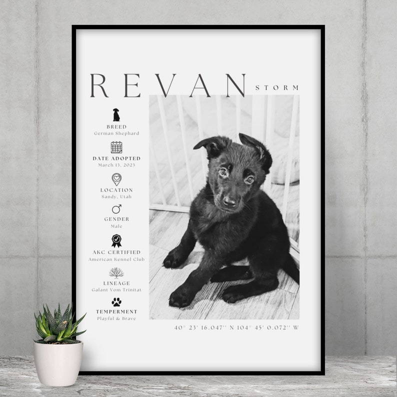 May include: Black and white framed print featuring a German Shepherd puppy named Revan Storm. The print includes the puppy's breed, adoption date, location, gender, AKC certification, lineage, and temperament. Coordinates are also listed.