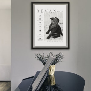 May include: A framed black and white print featuring a puppy named Revan Storm. The print includes details about the dog's breed, date adopted, location, gender, lineage, and temperament. The print is displayed on a wall above a black piano.