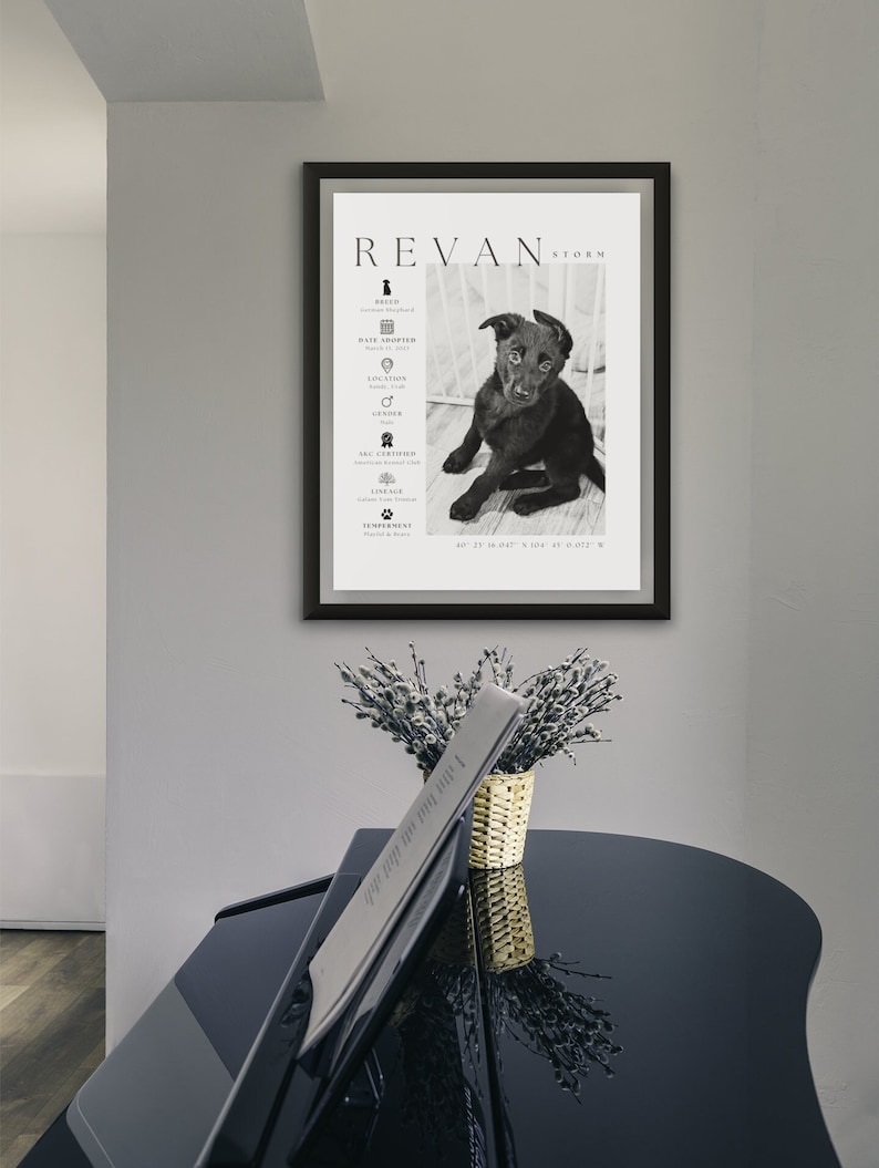 May include: A framed black and white print featuring a puppy named Revan Storm. The print includes details about the dog's breed, date adopted, location, gender, lineage, and temperament. The print is displayed on a wall above a black piano.
