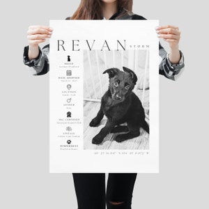 May include: Black and white poster featuring a German Shepherd puppy named Revan Storm. The poster includes details such as the date adopted, location in Sandy, Utah, gender, AKC certification, lineage, and temperament. Coordinates are also listed.