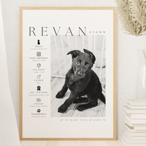 May include: A framed black and white print featuring a German Shepherd puppy named Revan Storm. The print includes details like the adoption date, location, gender, AKC certification, lineage, and temperament. The puppy is sitting and looking at the viewer.