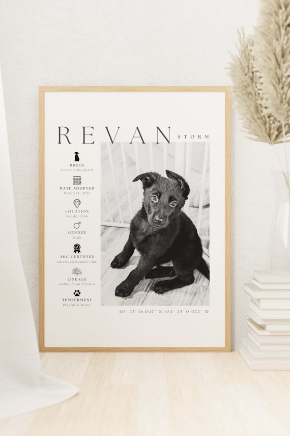 Editable 16x20" Pet Template, Custom Pet Portrait, Pet Wall Art, Pet Memorial Gift, Pet Party Decor, Pet Loss, Pet Decor, Pet Parent Gift