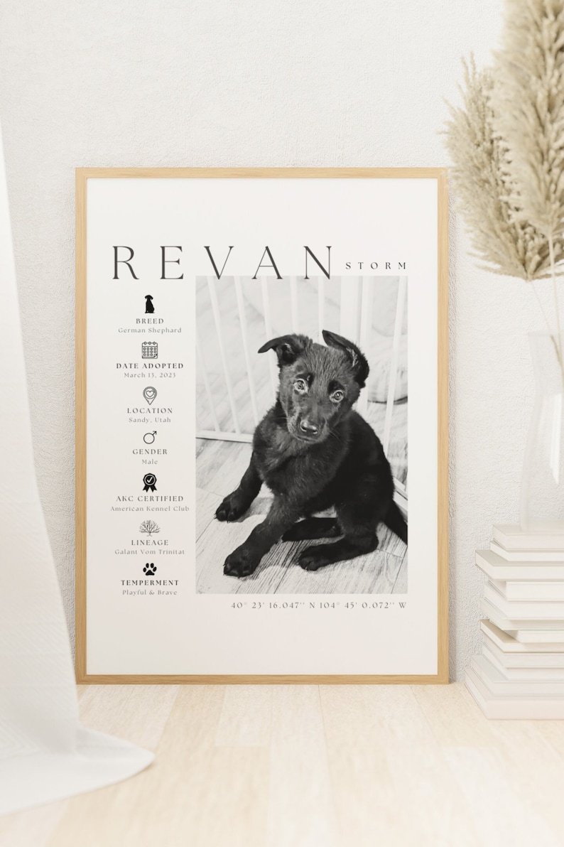 May include: A framed black and white print featuring a German Shepherd puppy named Revan Storm. The print includes details like the adoption date, location, gender, AKC certification, lineage, and temperament. The puppy is sitting and looking at the viewer.