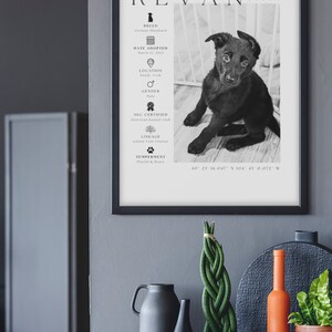 May include: Black and white framed print featuring a German Shepherd puppy named Revan Storm. The print includes the dog's breed, adoption date, location, gender, AKC certification, lineage, and temperament. Decorative items are in the foreground.