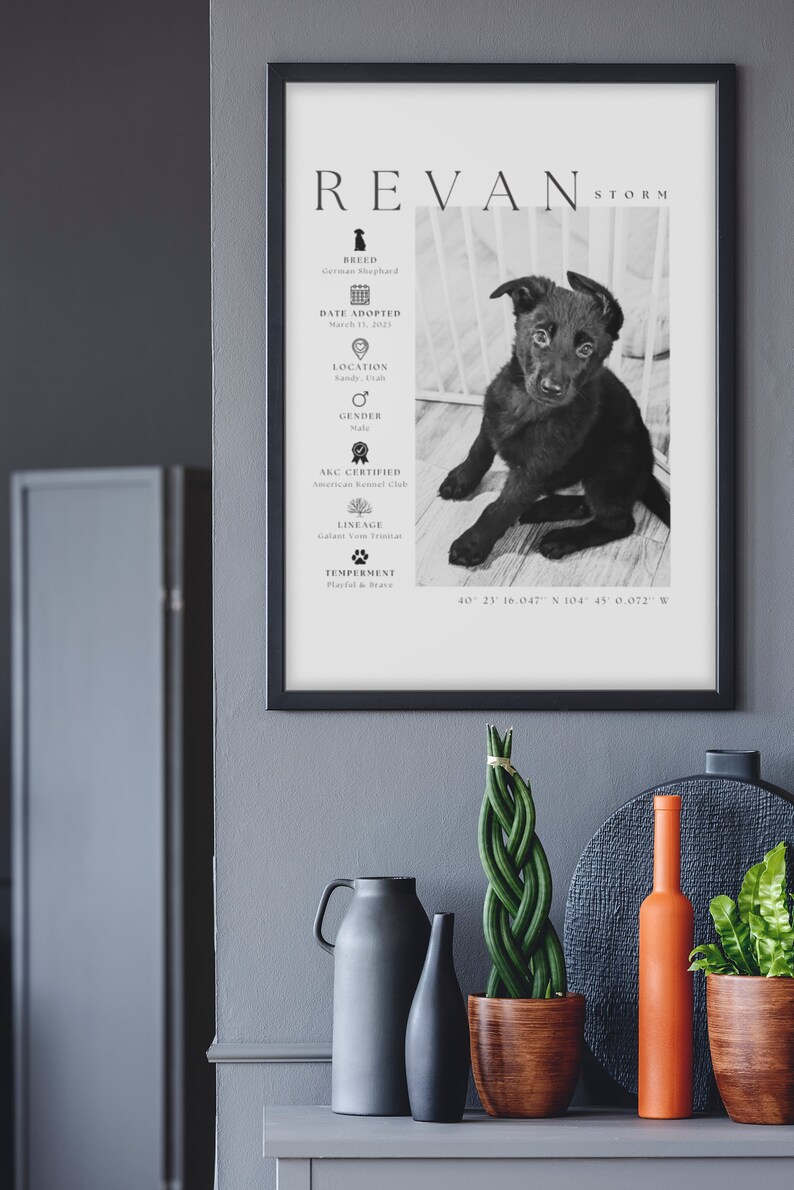 May include: Black and white framed print featuring a German Shepherd puppy named Revan Storm. The print includes the dog's breed, adoption date, location, gender, AKC certification, lineage, and temperament. Decorative items are in the foreground.