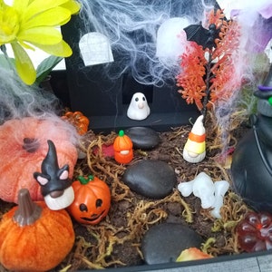 Op de afbeelding: Een Halloween-thema miniatuur feeentuin met een zwart huis, een geest, een dwerg, een ketel, pompoenen en spinnenwebben.