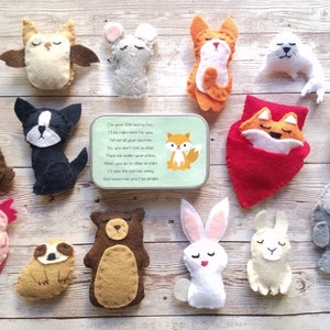 Zakhuisdieren, zorgdieren, kleine vilten dieren, pocketvrienden, vrienden voor het slapengaan, zorgenkind voor kinderen, ontspannend cadeau