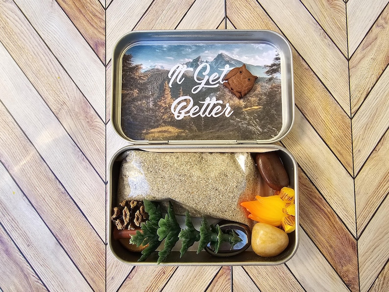 Pu&ograve; includere: Una scatola di metallo aperta con le parole "It Get Better" sul coperchio, che presenta una scena di montagna. All'interno della scatola ci sono vari oggetti, tra cui sabbia, pietre, una pigna e vegetazione artificiale. La scatola &egrave; su una superficie di legno.