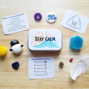 Mini Calm Down Kit for Kids, Coping Skills Box, Desk Fidget Toys , Panic Anxiety Stress Relief Gift, Self-Care Gift, Kids Anxiety, Stay Calm