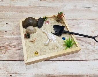 Kit de mini jardín zen para excavar fósiles de dinosaurios / Búsqueda del tesoro / Regalo para la meditación / Decoración de escritorio