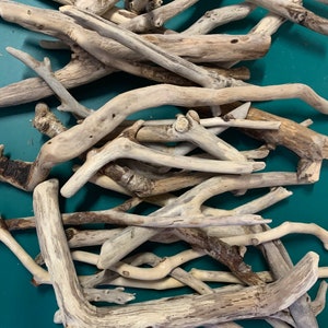 May include: A pile of driftwood branches in various sizes and shapes, with a light brown and white colour, against a teal background.