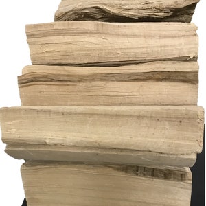 Leños decorativos de primera calidad, libres de plagas y sin corteza decoración natural 10 kg de madera para chimeneas, estantes, nichos y hornos imagen 6