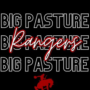 Custom School Spirit Shirt