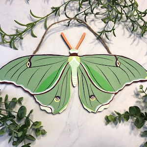 Polilla Luna de madera pintada a mano