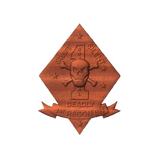 1st Verkenningsbataljon, 1st Recon, Marine Corps, USMC, Silent and Deadly