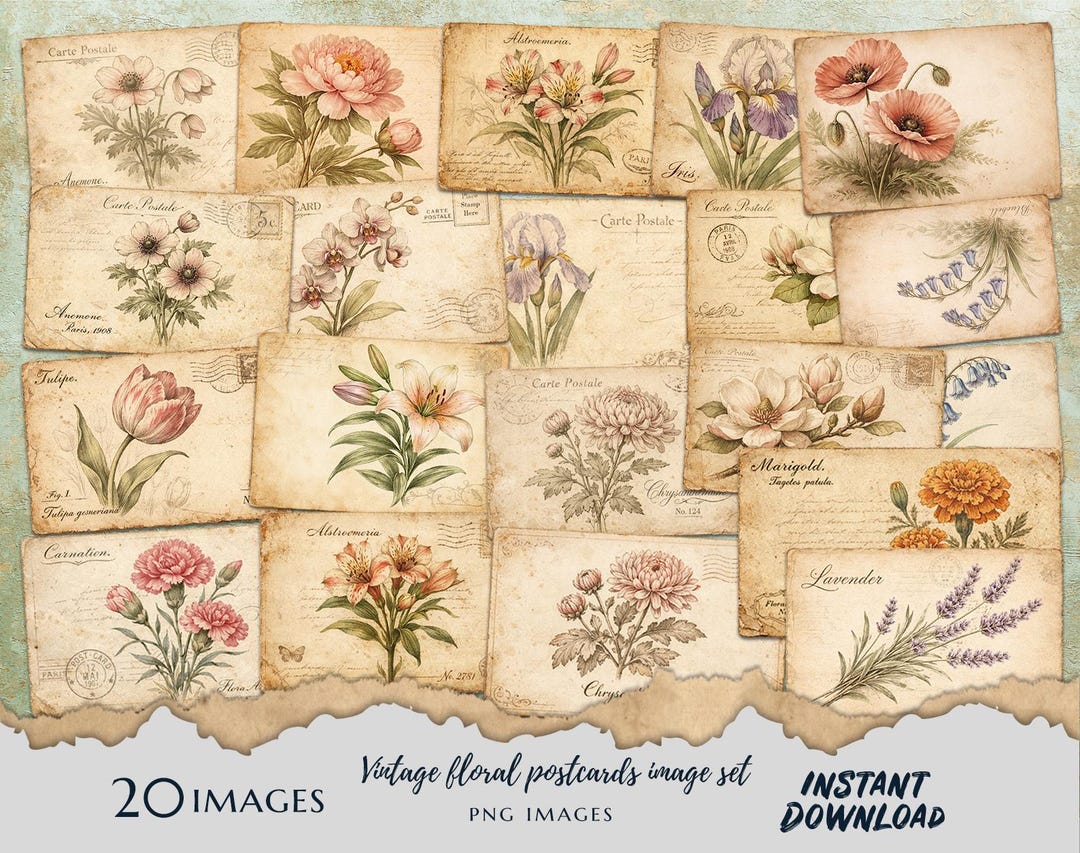 Vintage Floral Postcards PNG – Antique Botanical Ephemera Set Shabby ...