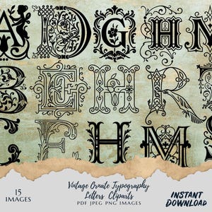 May include: A collection of 15 black ornate typography letters, including A, B, C, D, E, F, G, H, M, R, S, and T, against a distressed, textured background. The letters are in a vintage style, with intricate floral and scroll designs. Text reads "Vintage Ornate Typography Letters Cliparts".