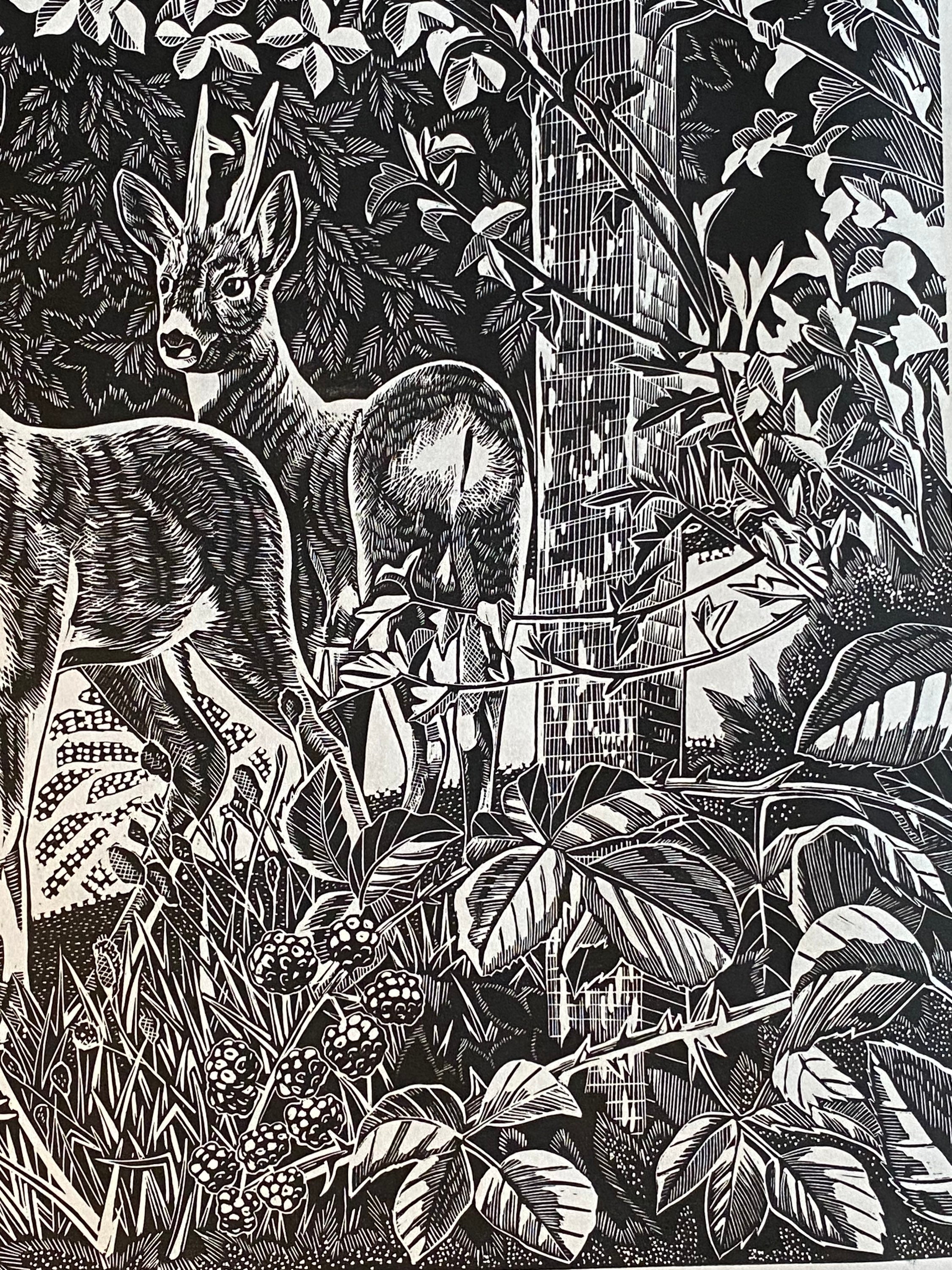 Roe Deer Art, Lino Print , Footpaths , Norfolk - Etsy