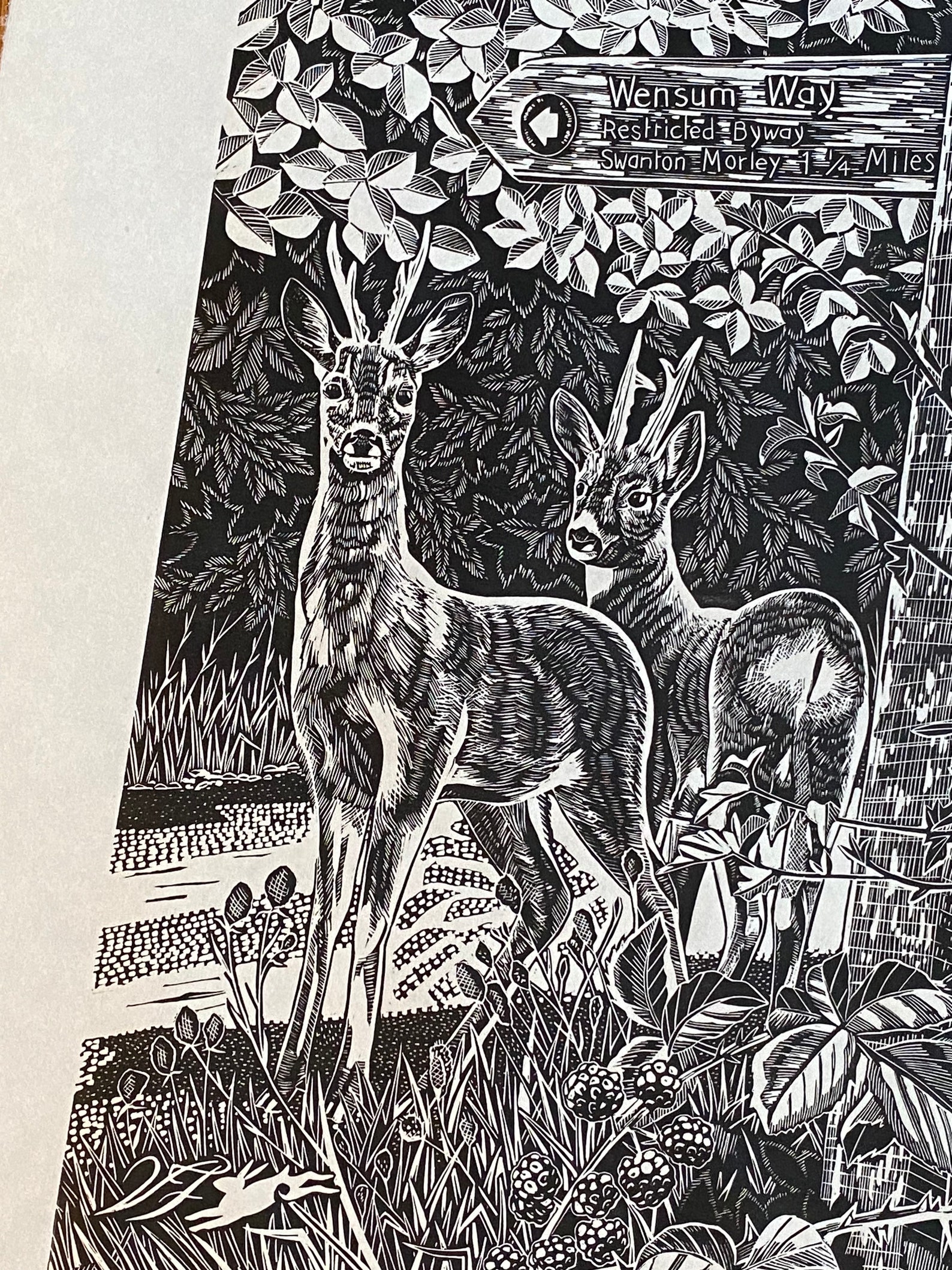 Roe Deer Art, Lino Print , Footpaths , Norfolk - Etsy