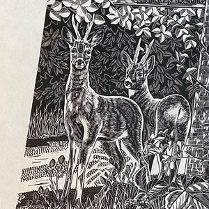 Roe Deer Art, Lino Print , Footpaths , Norfolk - Etsy