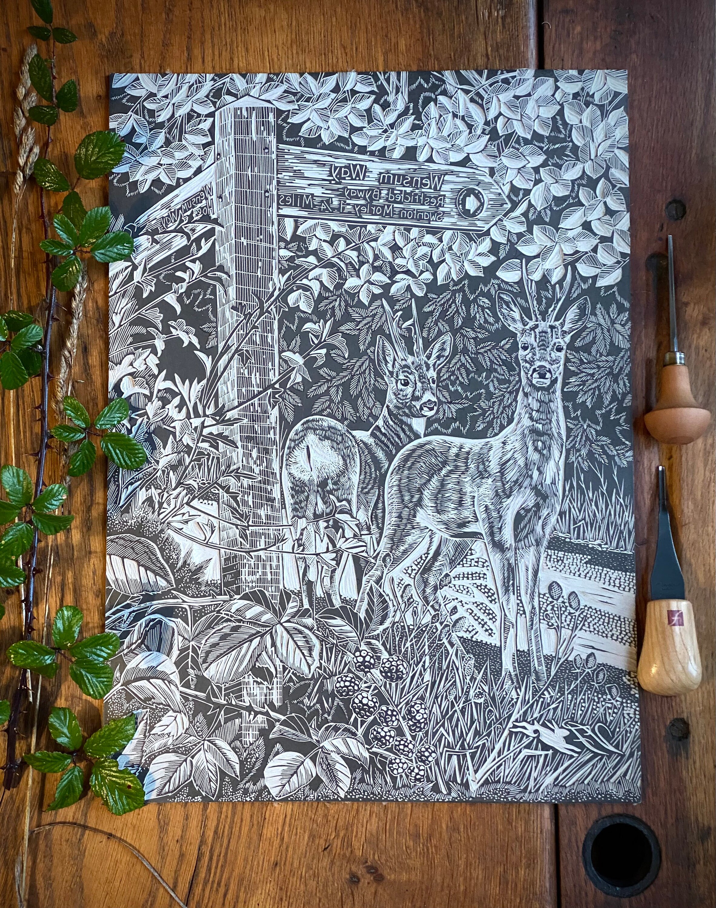 Roe Deer Art, Lino Print , Footpaths , Norfolk - Etsy