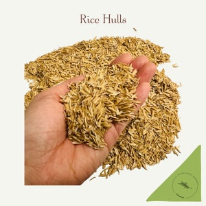 May include: A close-up of a hand holding a pile of light brown rice hulls. The rice hulls are scattered on a white background. The text "Rice Hulls" is written in brown letters above the image.