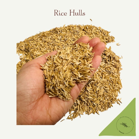 Rice Husk/Hull 100g : 100% Natural Organic Ideal for Fertilizer, Solid Fuel, Building Material, and Insulation, Temari making, diy materials