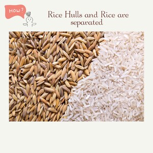 May include: A close-up image of two piles of rice. The pile on the left is brown rice with the husks still attached. The pile on the right is white rice. The text "Rice Hulls and Rice are separated" is above the image.
