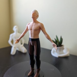 Charming Vampire Elf Figurine, Bathing in the sun, 3d printed