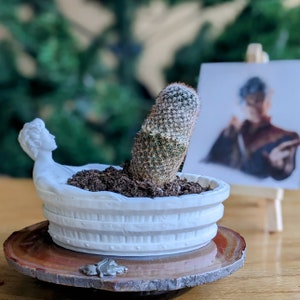 Charming Vampire Elf character game Relaxing in Bathtub Decoration, 3D printed planter, soap holder, jewelry tray