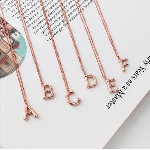 Collar personalizado, collar con nombre minimalista, collares con iniciales, joyería con nombre personalizado, collar con inicial personalizado, regalo perfecto ZM610rg
