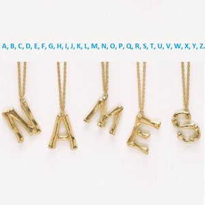 Collar personalizado, collar con nombre minimalista, collares con iniciales, joyería con nombre personalizada, collar con inicial personalizado, regalo perfecto ZM610go