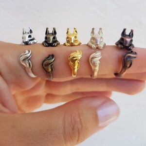 May include: A collection of squirrel-themed rings in various metallic finishes, including silver, gold, and bronze. Each ring features a detailed squirrel head and tail design, showcasing the animal's features. The rings are displayed on a finger, highlighting the unique jewelry.