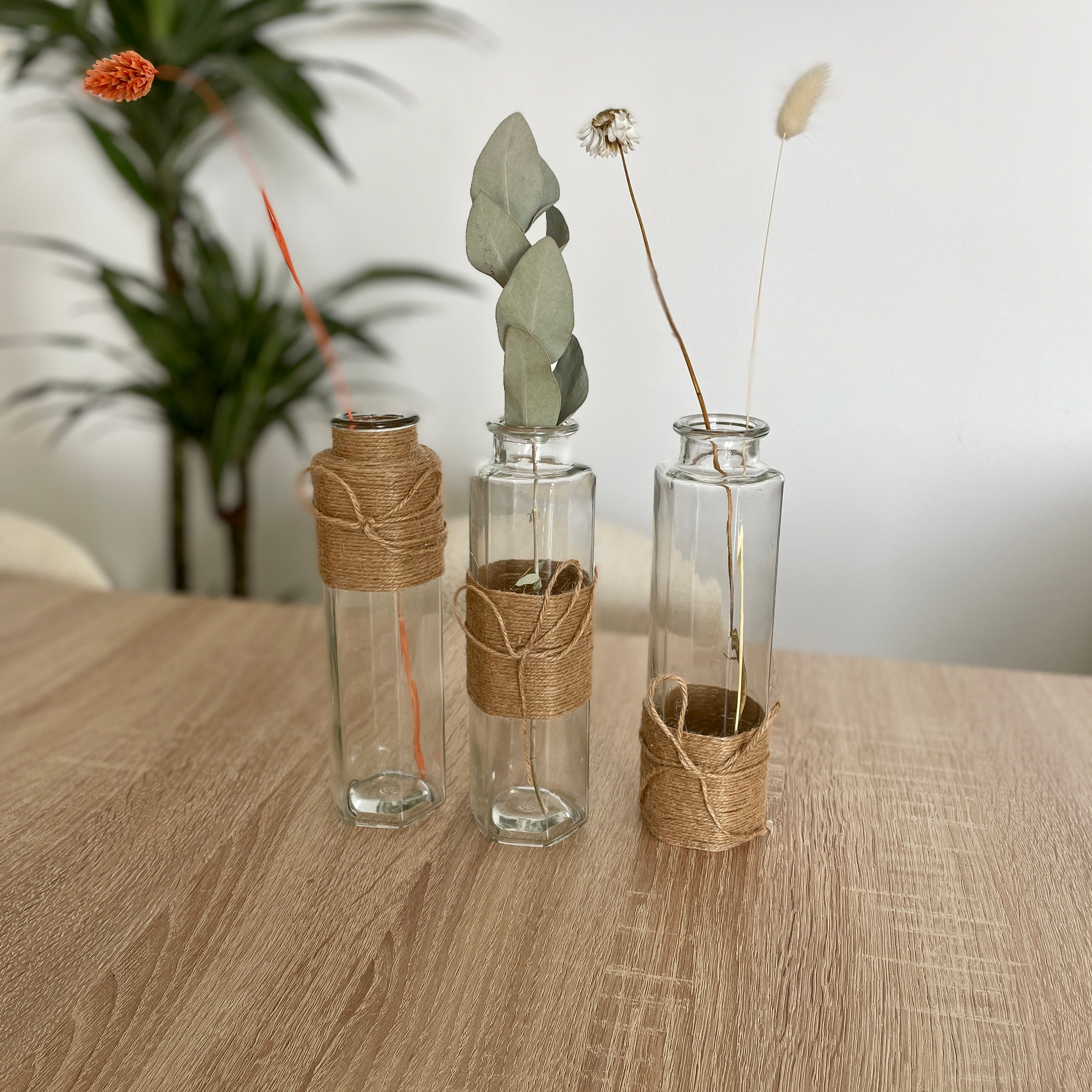 Set de 3 Vases en Verre avec Corde