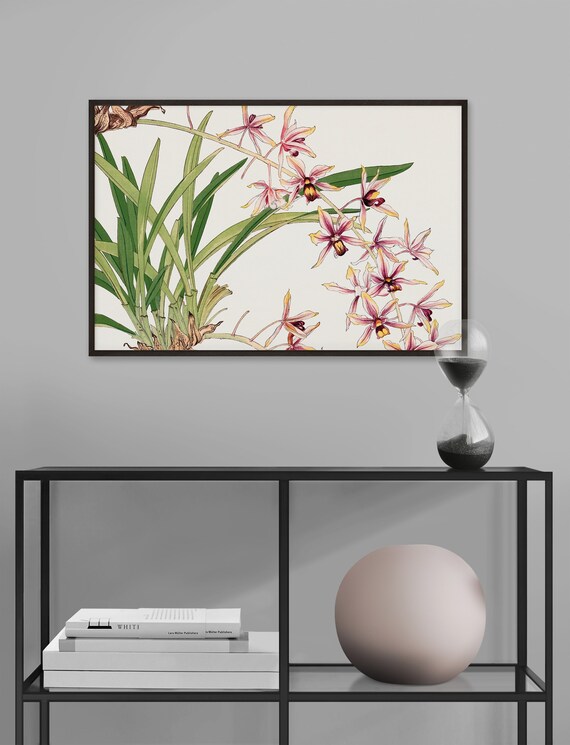 Orchid Flower Watercolor Printable Home Decor Wall Art Etsy