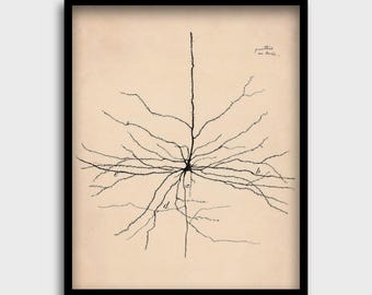 Pyramidales Neuron Vintage Zeichnung | Brain Cell von Santiago Ramon y Cajal | Neurowissenschaftliche Kunst | Anatomie-Illustration | Diagram
