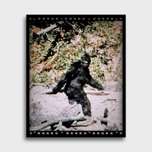 Bigfoot Sasquatch Footage | 1967 Patterson-Gimlin Print | Cryptid Wall Art | Vintage Yeti Photo | Skunkape Print | Cryptozooology Art