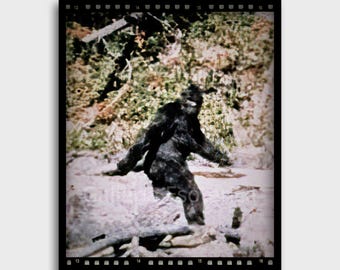 Bigfoot Sasquatch-beelden | Patterson-Gimlin-print 1967 | Cryptische kunst aan de muur | Vintage Yeti-foto | Skunkape-print | Cryptozoölogiekunst