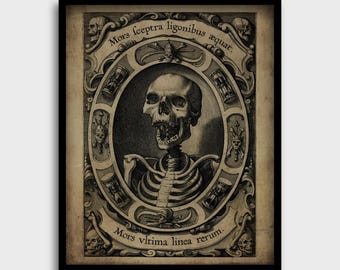 笑う骸骨、ヴァニタスの頭蓋骨 - メメント・モリ、中世の死の