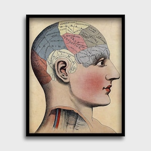 Phrenology Vintage Print, Illustration, Phrenology, Head Areas Brain, Mystic Spiritual Art, Occult, Cranium, Pseudoscience, Unique, Skull