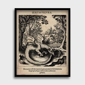 Può includere: Un'illustrazione vintage in bianco e nero di un drago in un ambiente boschivo. Il drago è arrotolato su se stesso con la coda in bocca. Il testo sotto l'immagine dice "SEXTA FIGVRA. Mercurius rectè & chymicè præcipitatus vel fublimatus, in sua propria Aqua refolutus && rurfum coagulatus."